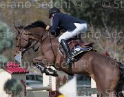 Le Jeune Vikali TosTour2013- S5 2322 : Arezzo, Arezzo Equestrian Centre, Le Jeune Philippe, Toscana Tour 2013, Vikali de l'Heribus, foto di Stefano Secchi ©